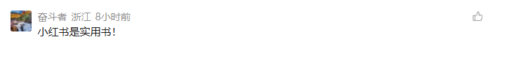 用户评论截图：小红书是实用书