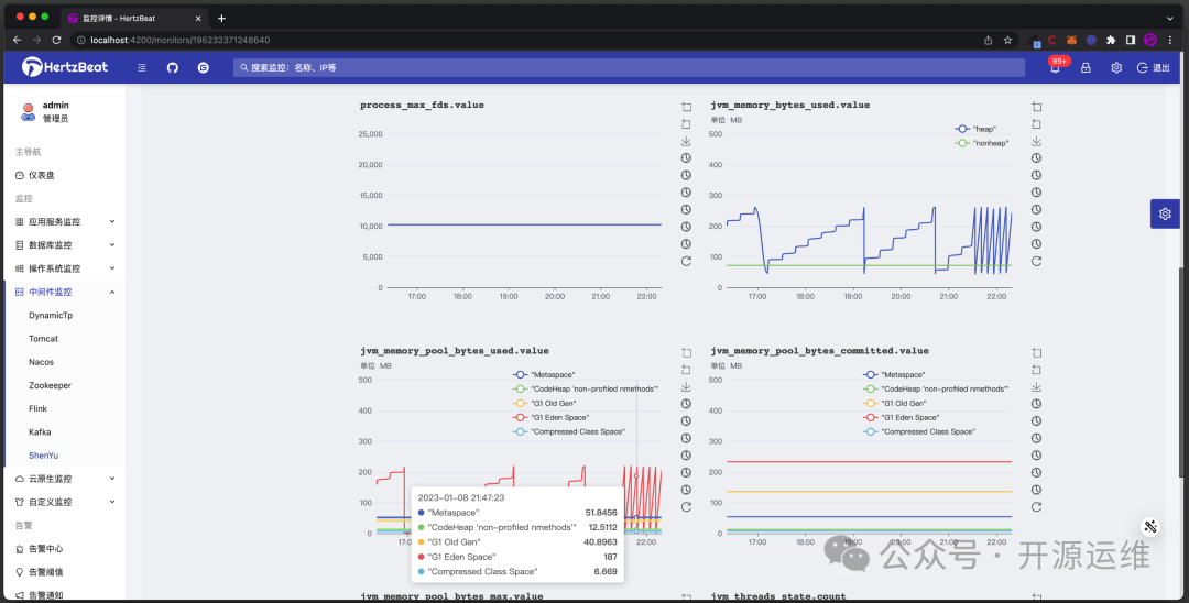 HertzBeat监控JVM内存指标图表