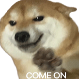 柴犬表情包，配文“COME ON”