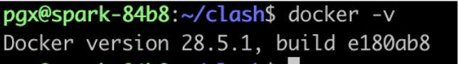 终端输出:`docker -v`命令结果,Docker version 28.5.1, build e180ab8