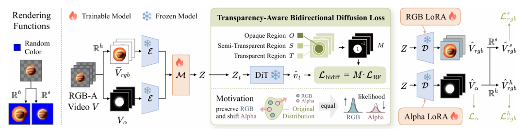 透明度感知双向扩散损失框架图