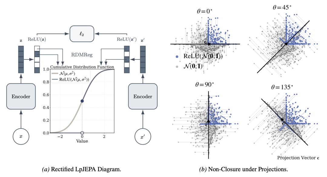 Rectified LpJEPA 架构示意及特征分布对比