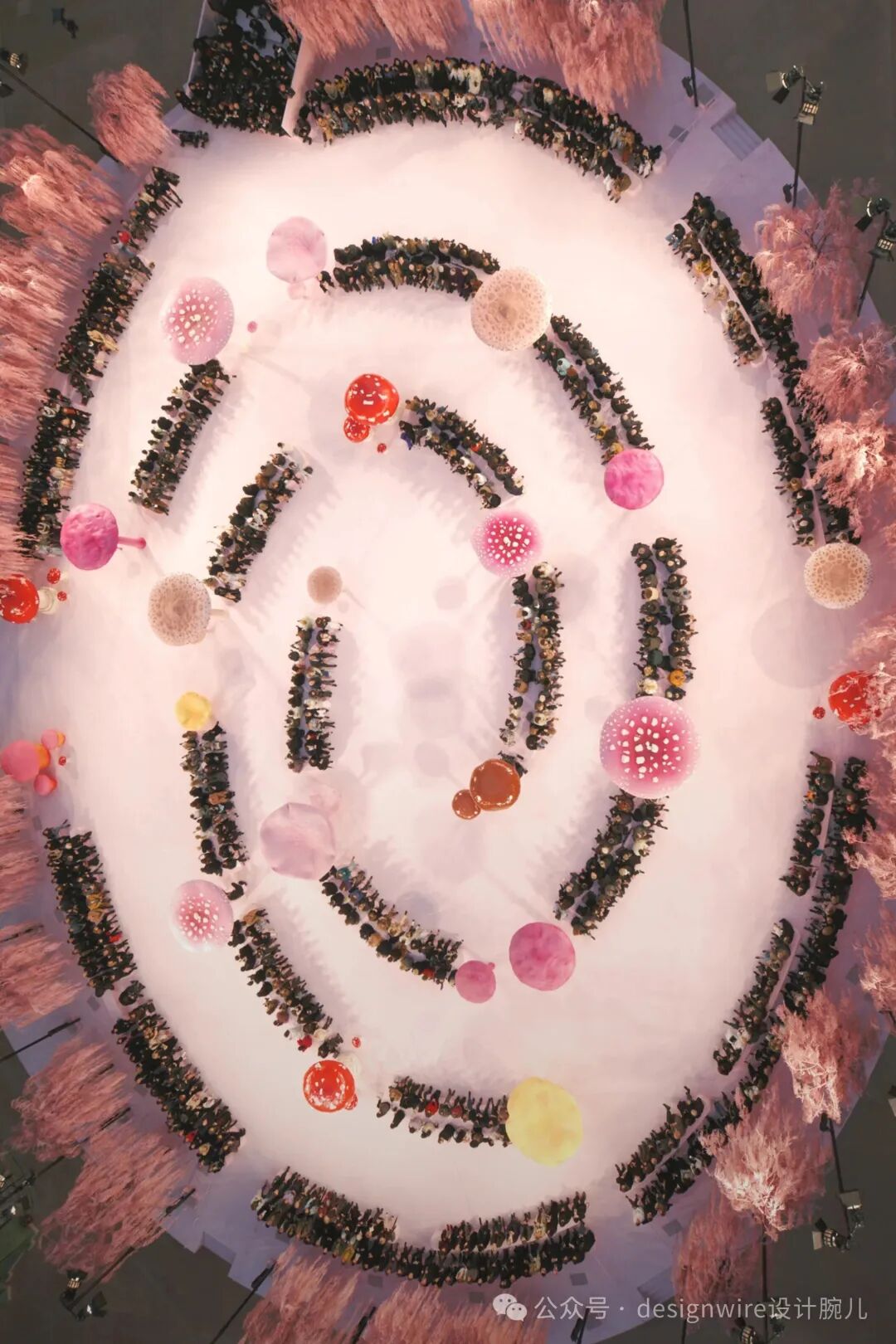 从高空俯瞰视角拍摄的大型户外艺术装置场景，中央为白色椭圆形地面，其上由大量人群围成螺旋状队列，形成类似数字‘9’或无限符号的环形路径；路径间散布着多个大小不一、色彩丰富的球形装饰物，包括粉红带白点、橙红、黄、棕等颜色，部分球体表面有斑点纹理；场地边缘环绕着粉色羽毛状或枝条状的装饰植物，整体色调柔和梦幻；右下角可见水印文字‘公众号 · designwire设计腕儿’。