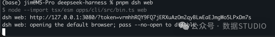 dsh web 启动终端输出