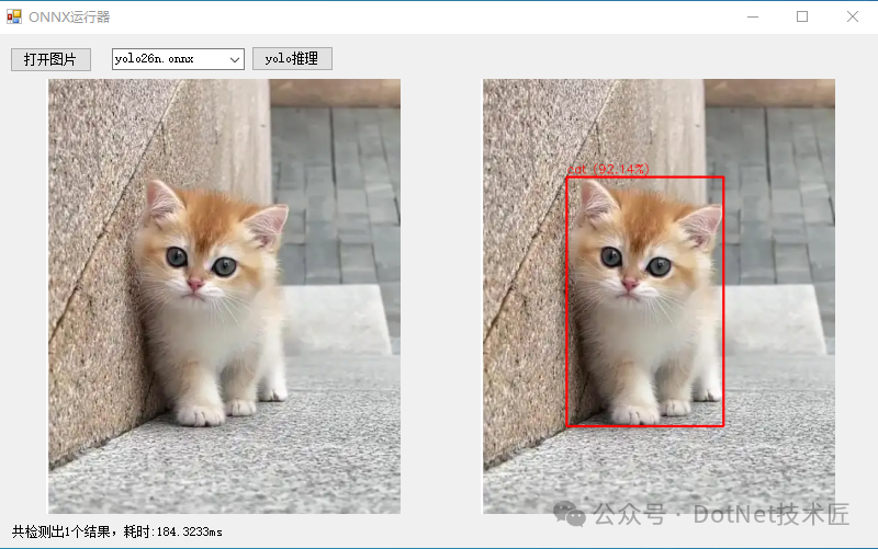 YOLO26 ONNX模型猫咪检测结果对比图