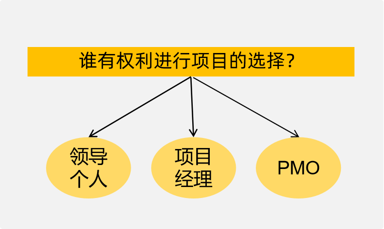 项目选择责任人分析图