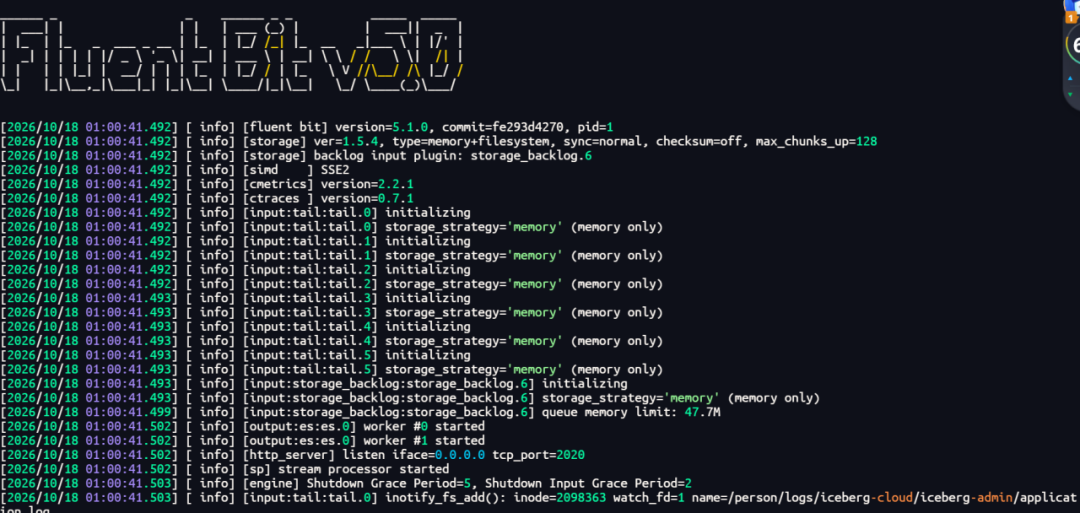Fluent Bit 启动日志,显示版本信息、各 input 插件初始化及 output 到 Easysearch 的状态
