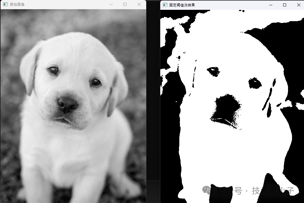 原始图像与固定阈值法处理结果对比