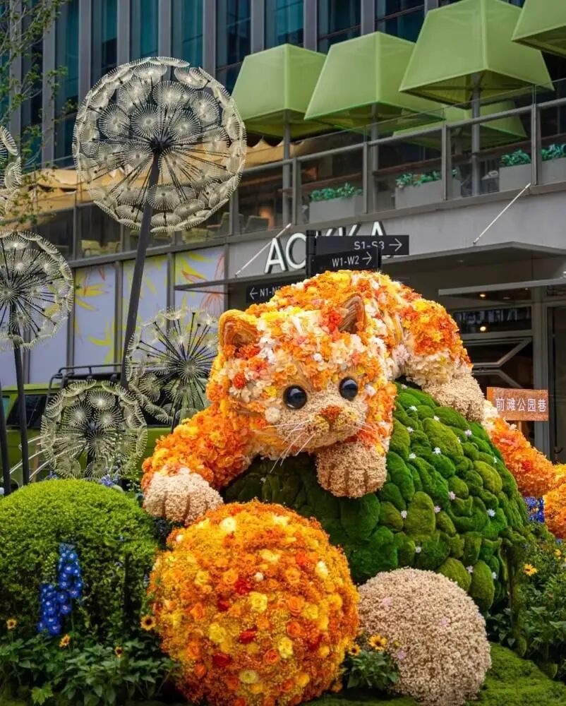 慵懒橘猫花艺装置