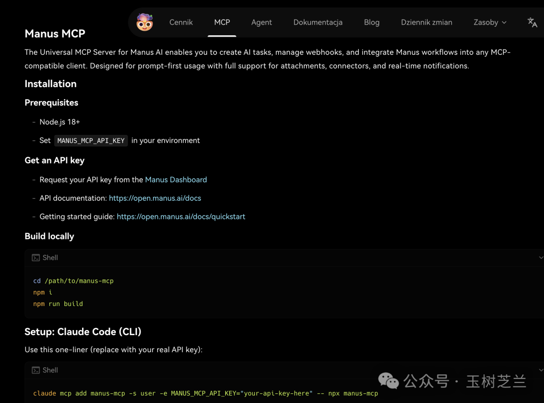 Manus MCP项目文档截图