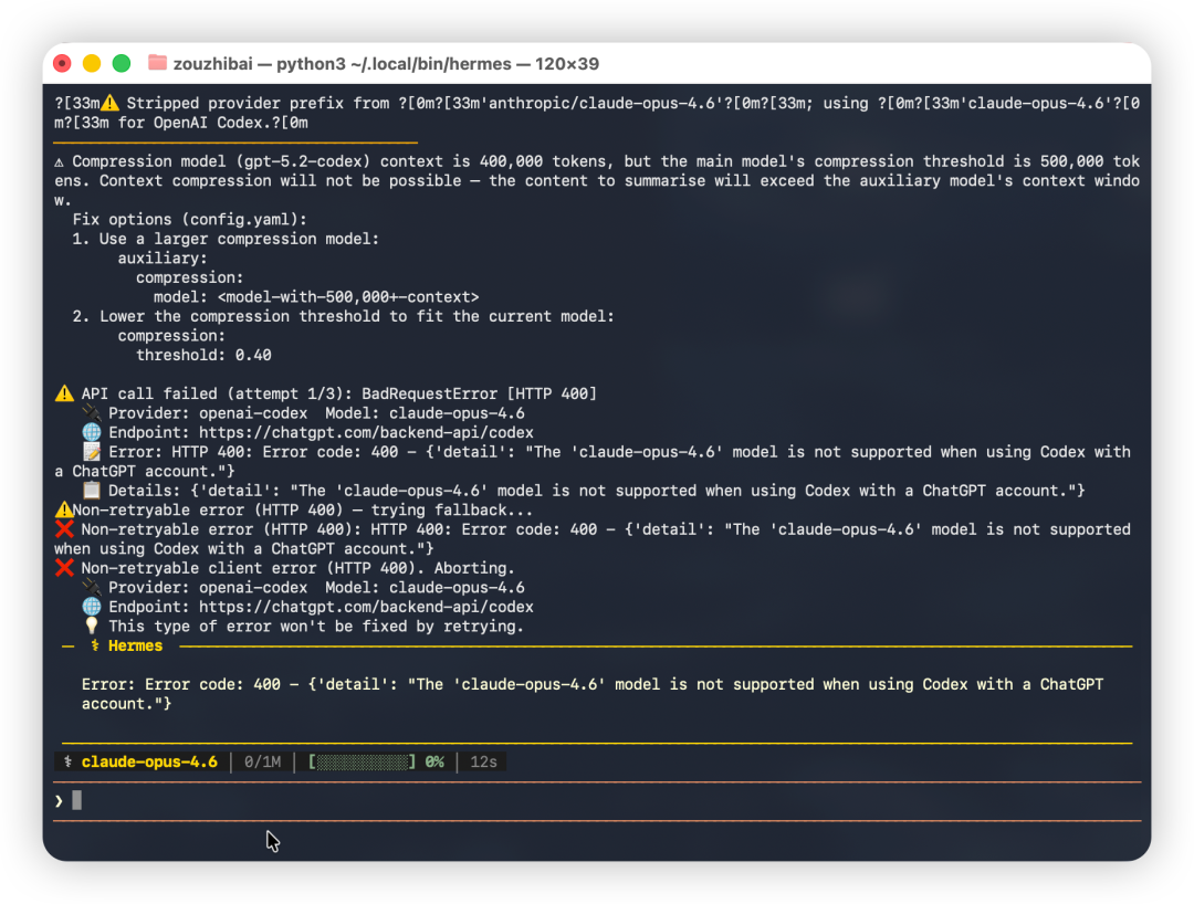 启动Hermes时出现的模型配置错误信息