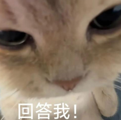 配文“回答我!”的猫咪面部表情包