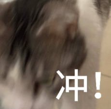 冲表情包