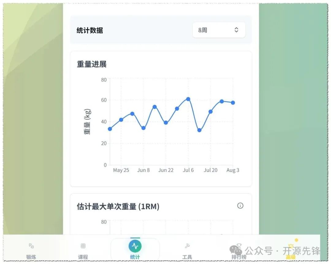 重量进展统计图表