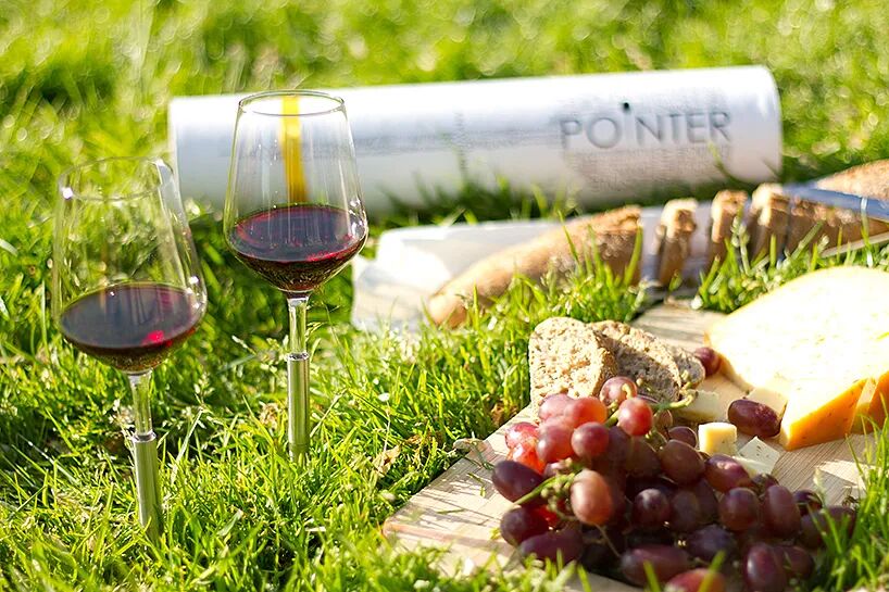 户外野餐场景展示