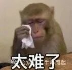 表情包:一只猴子在擦眼泪,配文“太难了”