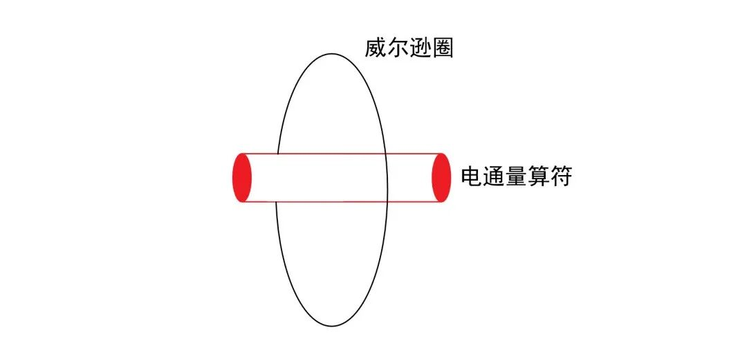 白底示意图，中央为水平放置的红色圆柱体，代表威尔逊圈算符；一条闭合黑色椭圆曲线垂直穿过圆柱体，图上方标注“威尔逊圈”，右侧标注“电通量算符”