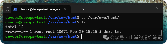 查看 index.html 文件详细信息