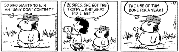 史努比抱怨奖品是骨头的漫画