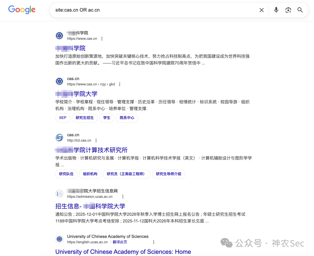针对中科院的Google搜索语法示例