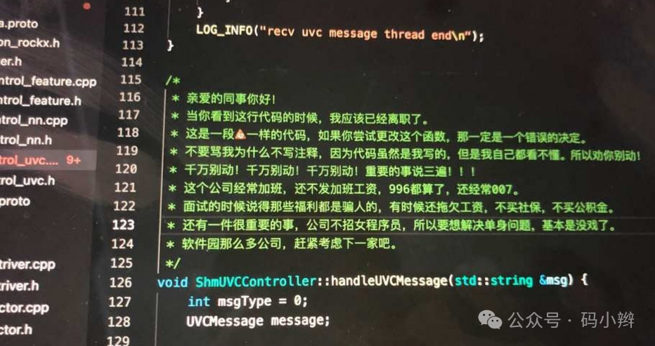 离职程序员留下的吐槽注释代码截图