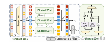 Temba Block 3 结构示意图