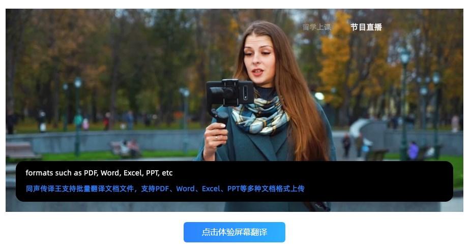 同声传译王屏幕翻译与文档翻译功能介绍