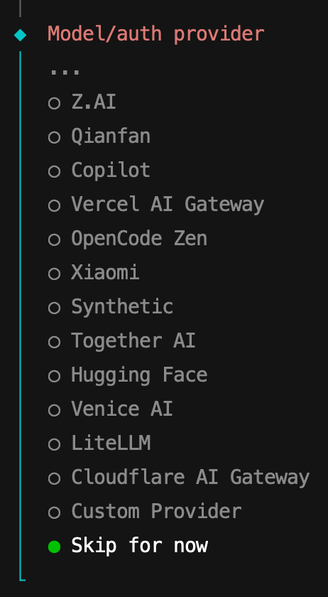 跳过模型提供商选择