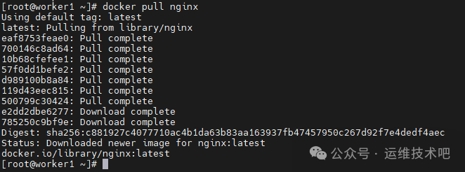 Docker拉取Nginx镜像输出