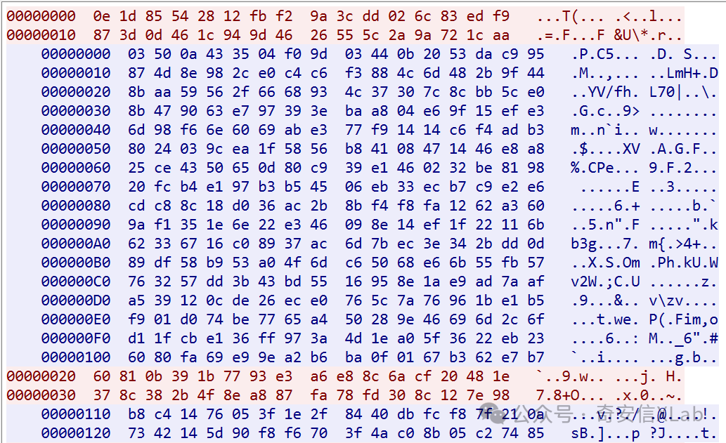 十六进制数据转储界面，左侧为地址偏移，中间为十六进制字节数据，右侧为对应的ASCII字符表示
