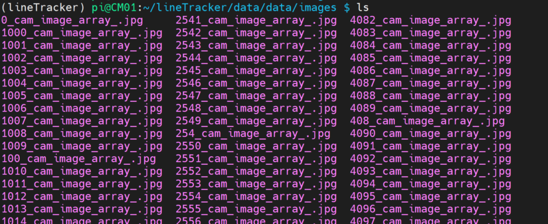 乱序的图片文件名列表