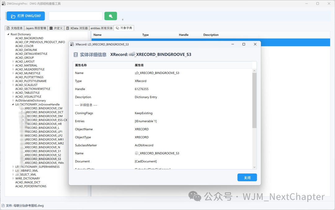 DWGInsightPro工具主界面，展示DWG文件树状结构与XRecord实体属性详情