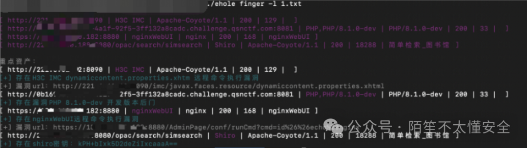 EHole_magic漏洞扫描结果输出