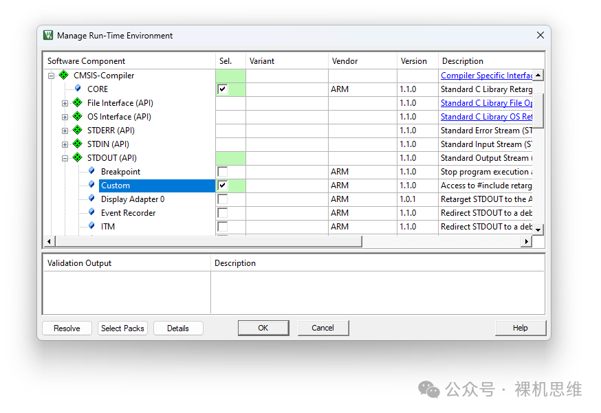 RTE 中勾选 Custom 以自定义 printf 输出