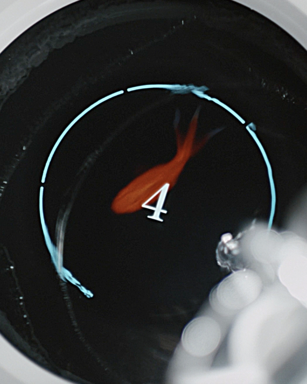 Balmuda Rain加湿器APP中的生态鱼缸界面