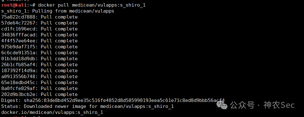 拉取Shiro漏洞Docker镜像