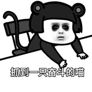 抓到一只奋斗的喵表情包