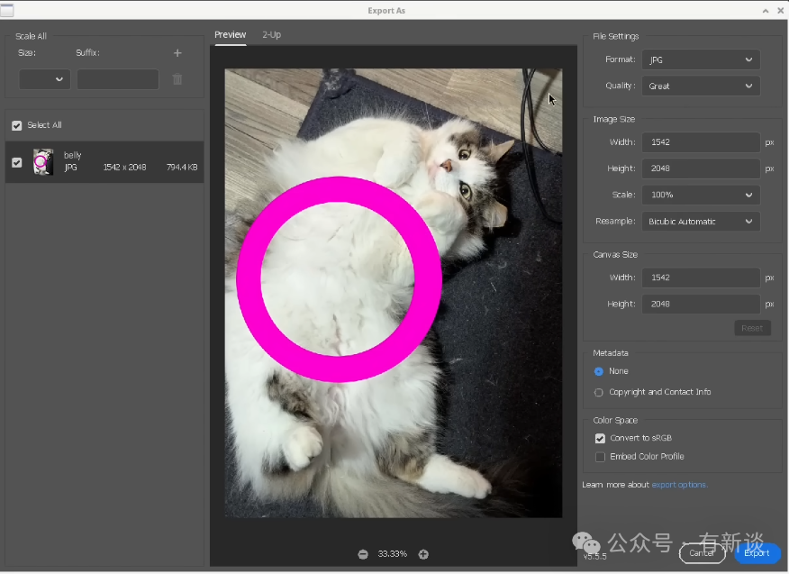 Photoshop导出图片设置界面
