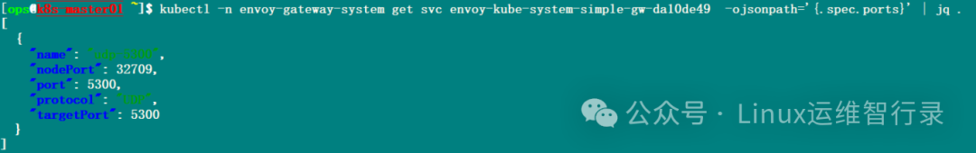 查看 Kubernetes Service 的 UDP 端口信息