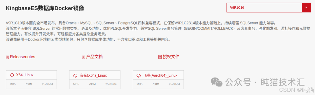 KingbaseES 数据库 Docker 镜像 V9R1C10 版本说明