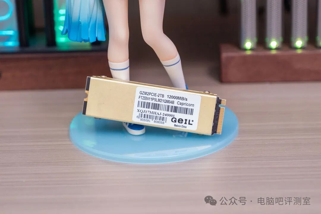 SSD本体与标签信息