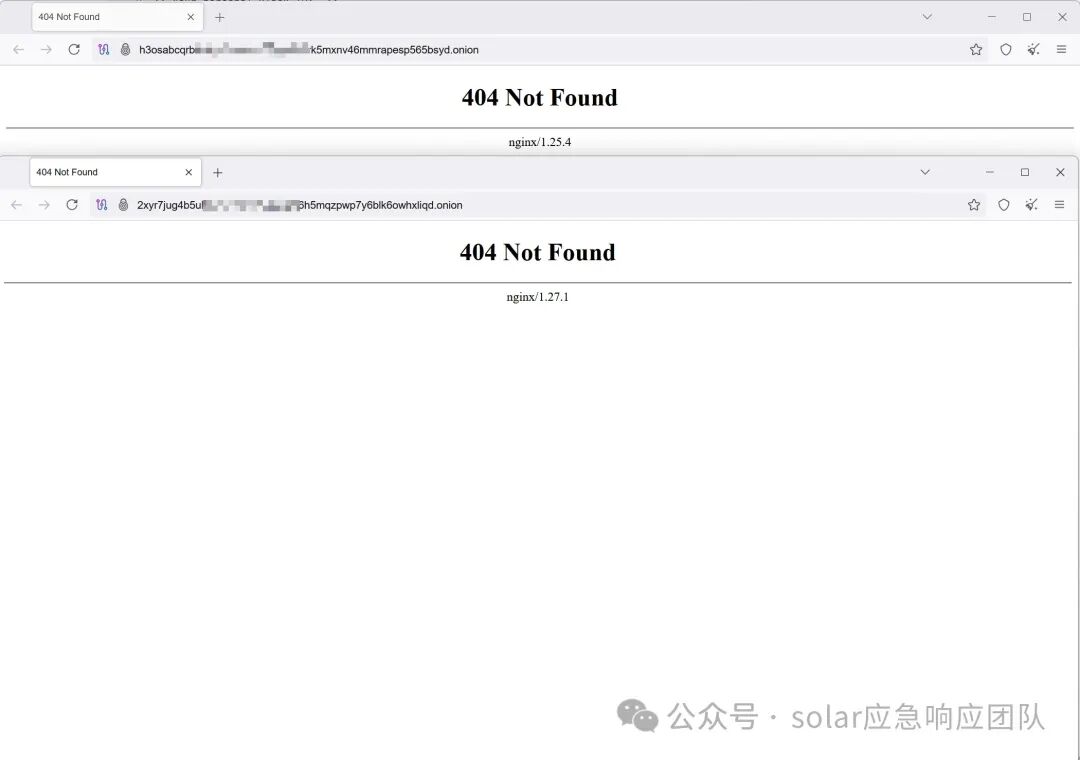 泄露版暗网地址访问返回404