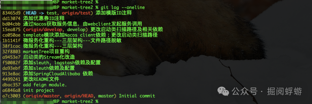 查看提交历史，确定目标 commit