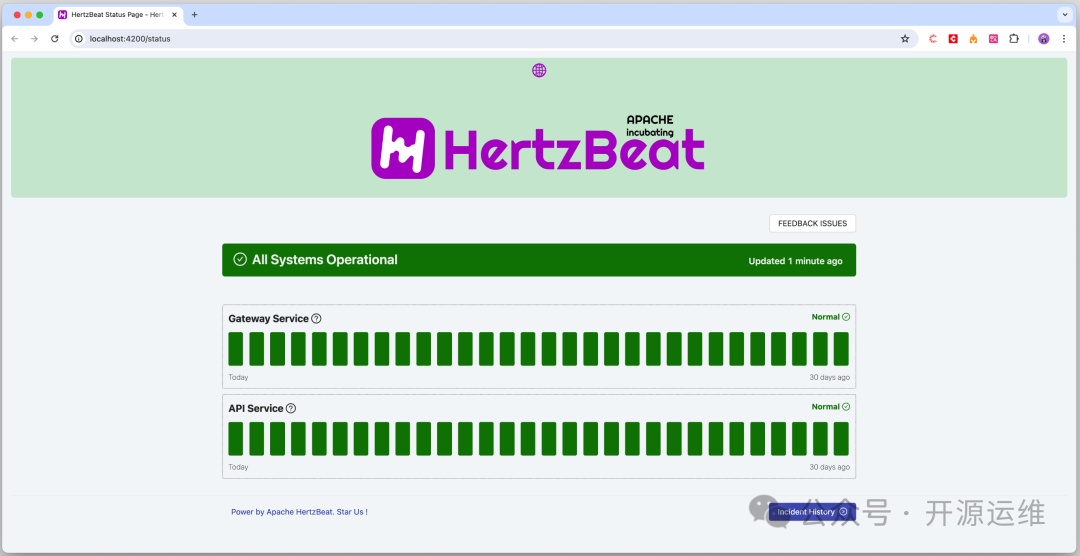 HertzBeat状态页展示