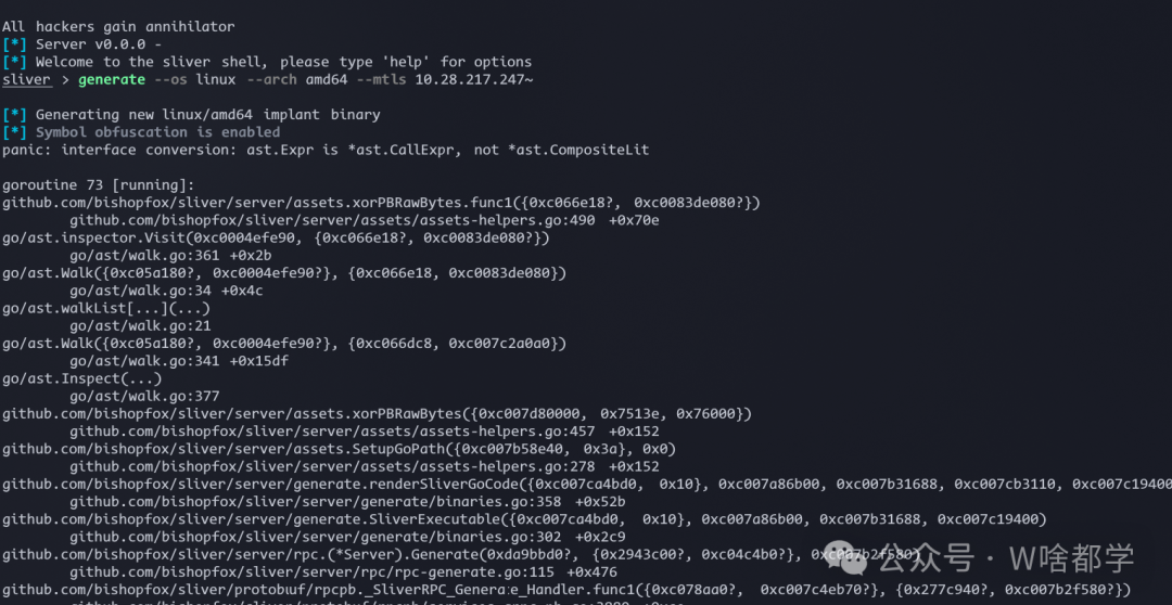 Sliver编译时protobuf版本不匹配导致的panic错误