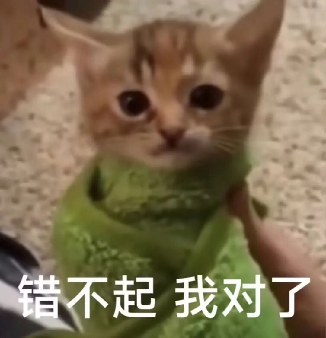 猫咪表情包：错不起 我对了
