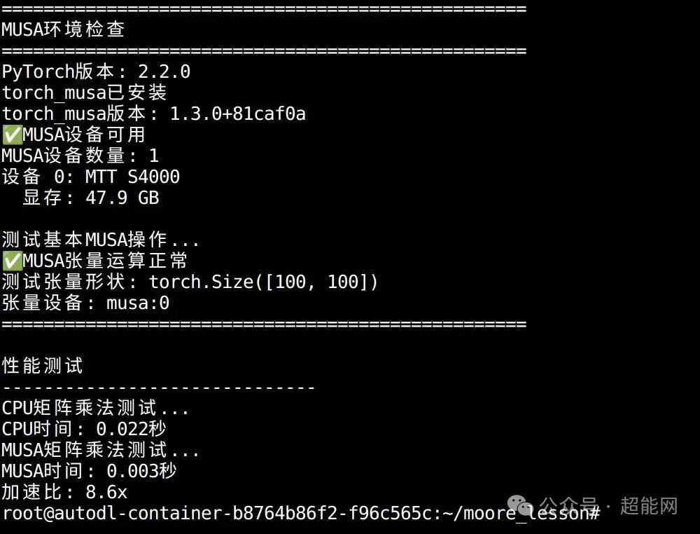 MUSA环境检查与性能测试终端结果