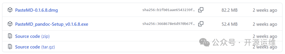 PasteMD GitHub Releases 文件列表