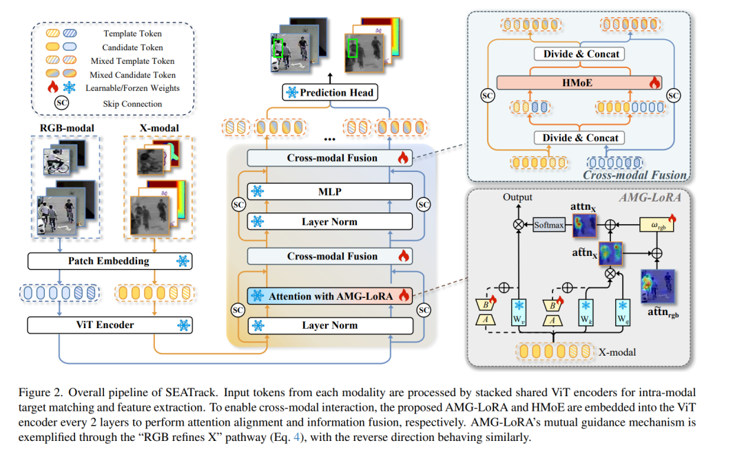 SEATrack整体架构示意图，展示了RGB与X模态输入经ViT Encoder处理，并通过AMG-LoRA与HMoE模块进行跨模态融合的流程
